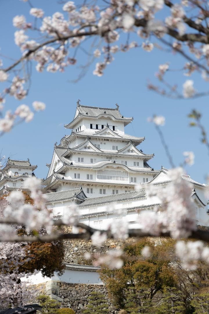 CANON EOS R + RF24-105mm F4 L IS USMセット