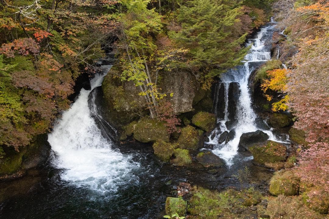 CANON EOS R + RF24-105mm F4 L IS USMセット