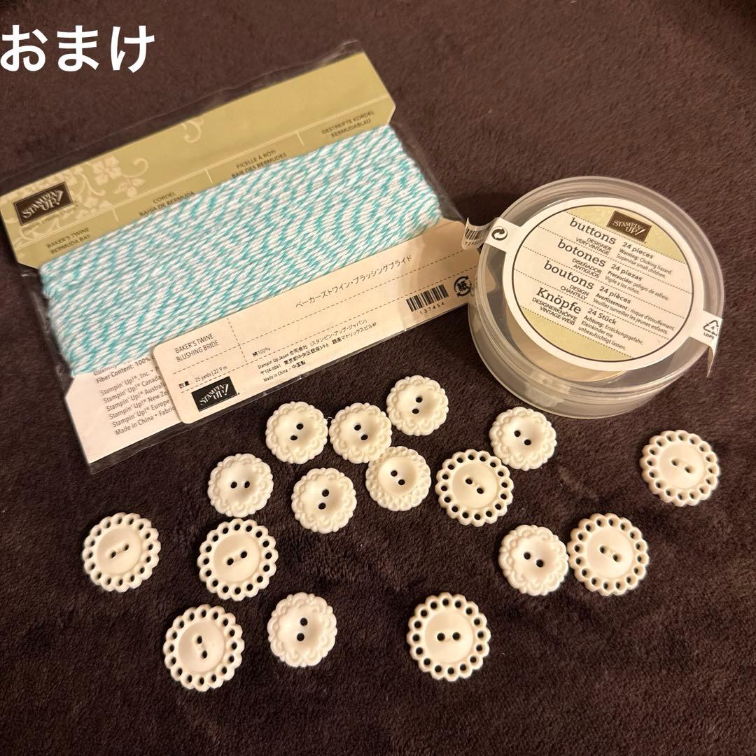 スタンピンアップ カラーキャディ　＋　インク53色