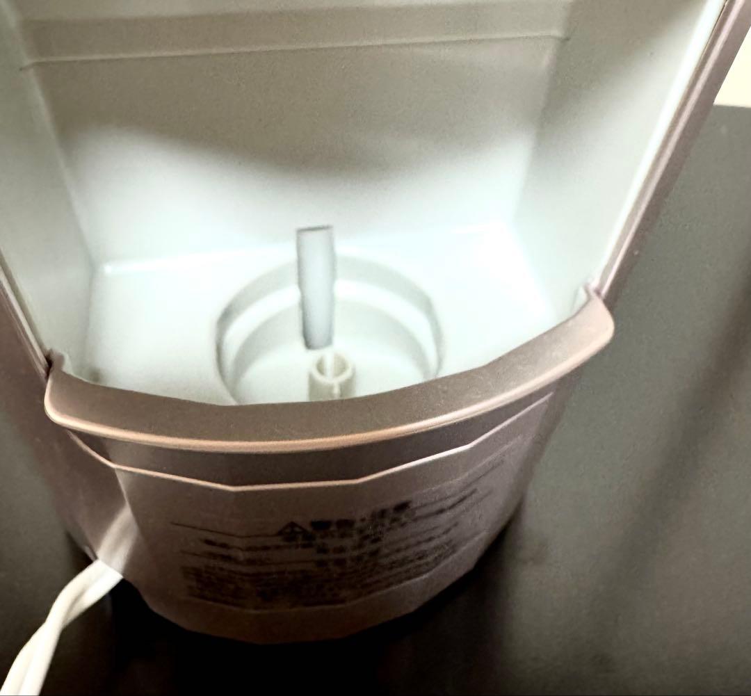 週末セール！極美品 YA-MAN ヤーマン IS-100Pフォトスチーマー