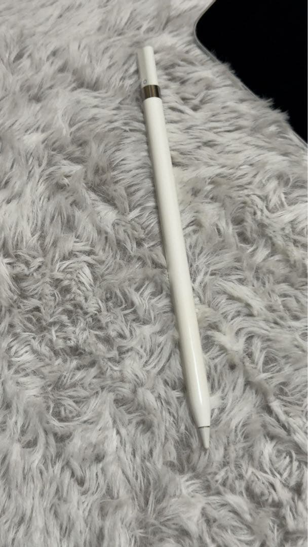 iPadPro第2世代2017年10.5本体とApple pencil第1世代