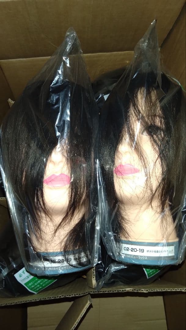 B*G様 美容師国家試験用　カットウィッグ　1５体セット