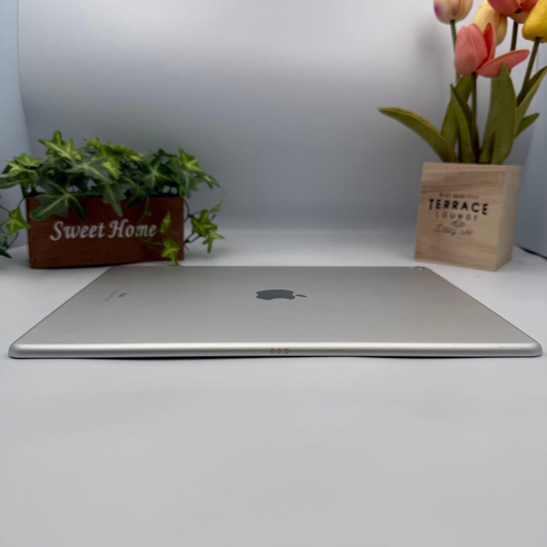 iPad Pro 第2世代 12.9inch Wi-fi 64G BT 94%