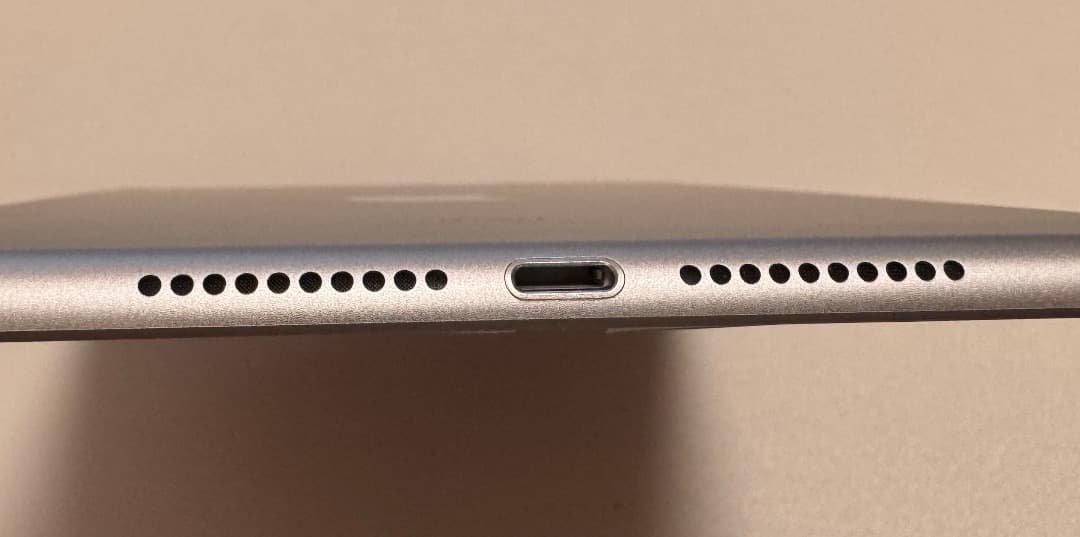 iPad mini 5 cellular 64GB SIMフリー シルバー