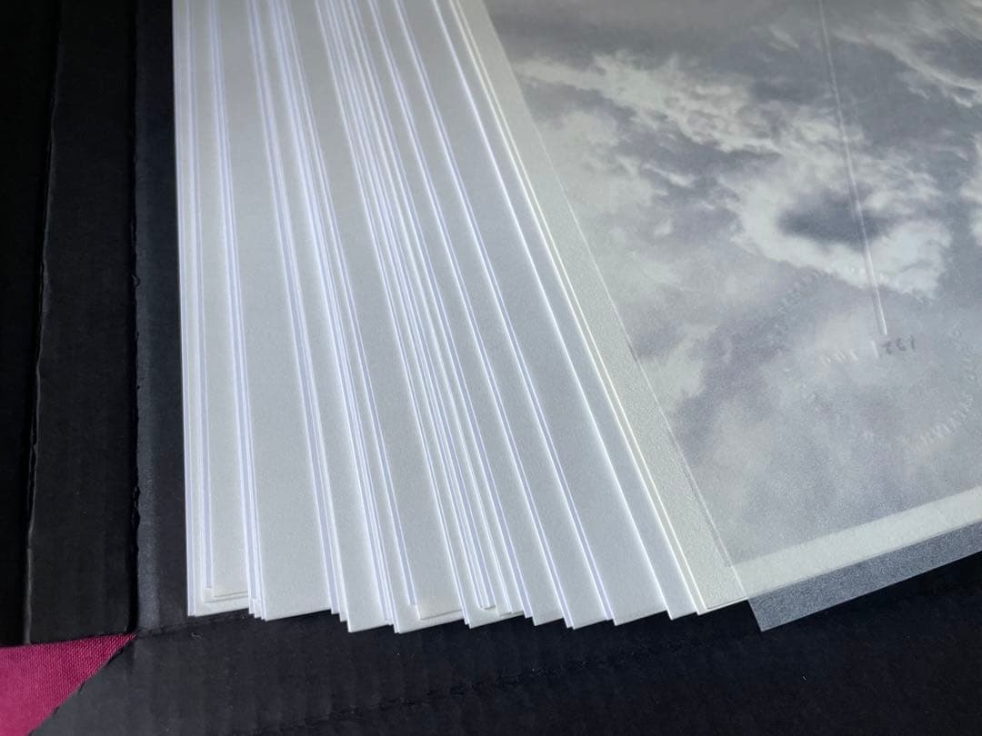 David Sylvian The Perfume of Wealth　サイン付