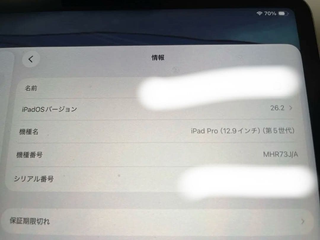 Apple iPad Pro 256GB 箱無し