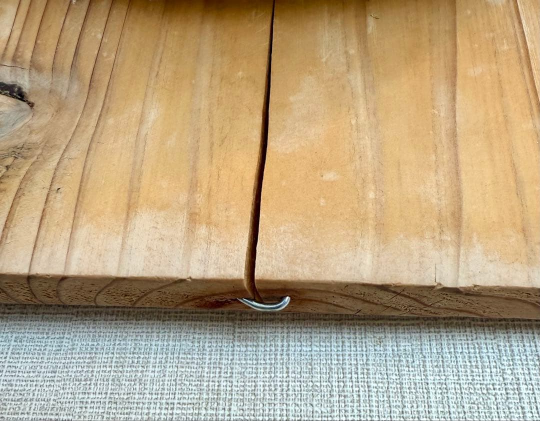 ビカクシダ　リドレイ　板付