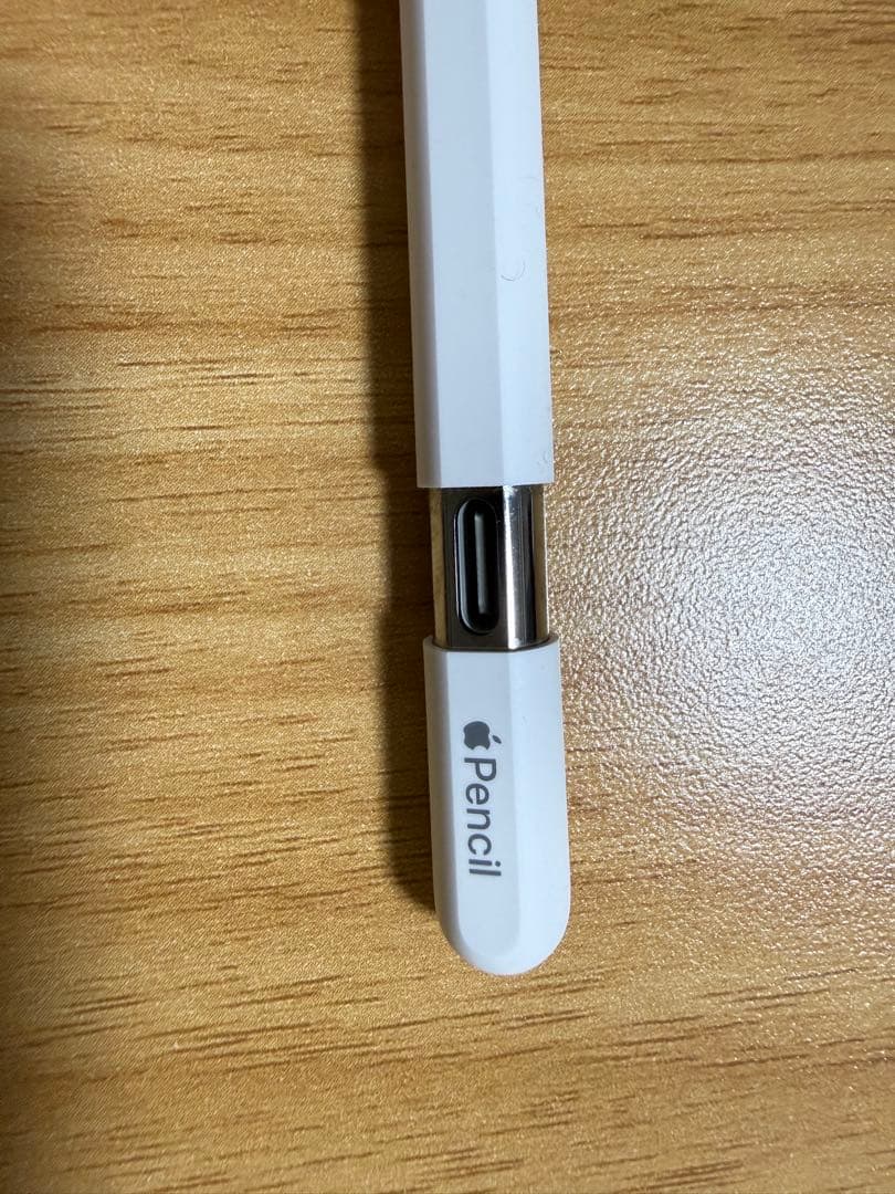iPadアクセサリー Apple Pencil (USB-C) MUWA32ZA/A