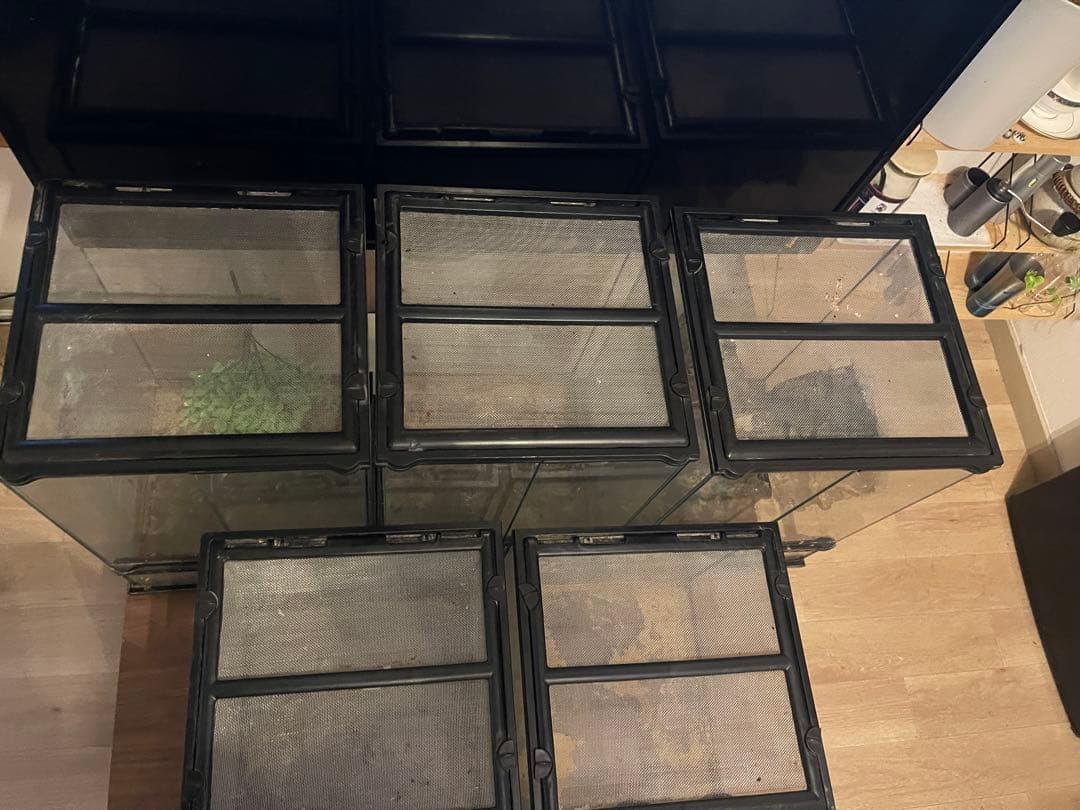 【引き取り限定】グラステラリウム3045×3、3030×2