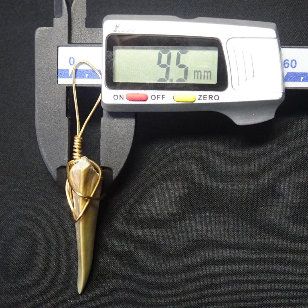 【値下】サメの歯のペンダントトップ