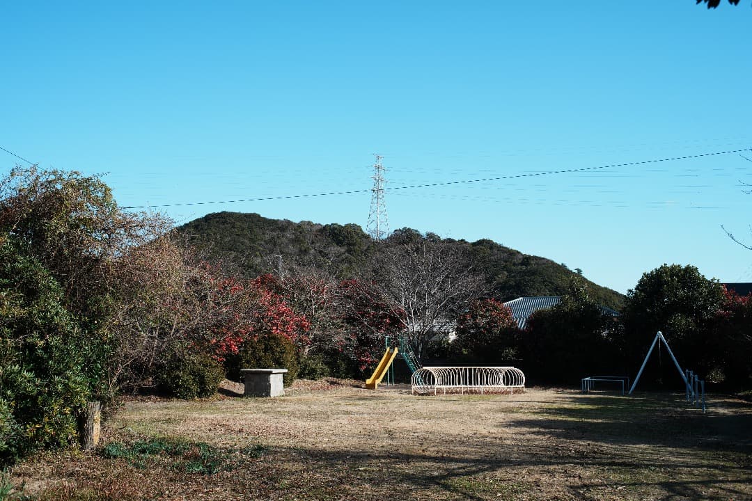 【整備＆テスト】オリンパス Zuiko auto-w 35mm F2.8