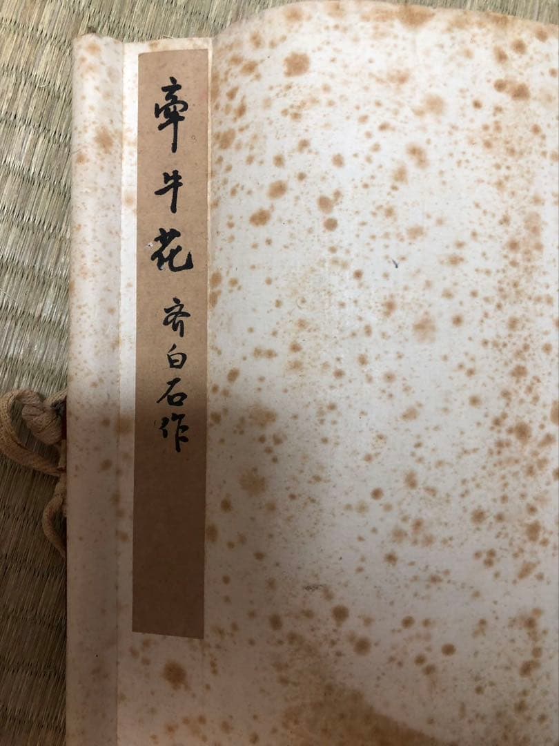 中国美術 栄宝斎　木版　斎白石［花図］紙本　印刷！