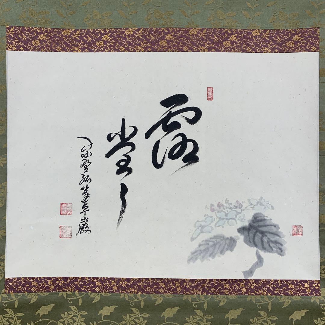 美品 掛け軸 弧蓬庵 小堀卓厳作 紫陽花画賛「露堂々」共箱 禅語 茶掛け