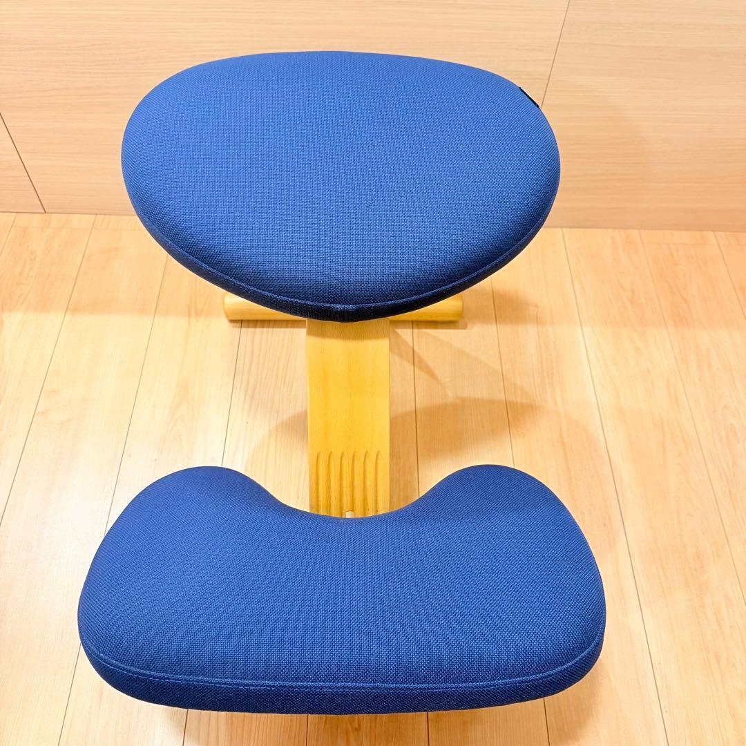 バランスイージー【Rybo balans EASY】サカモトハウス カバー有