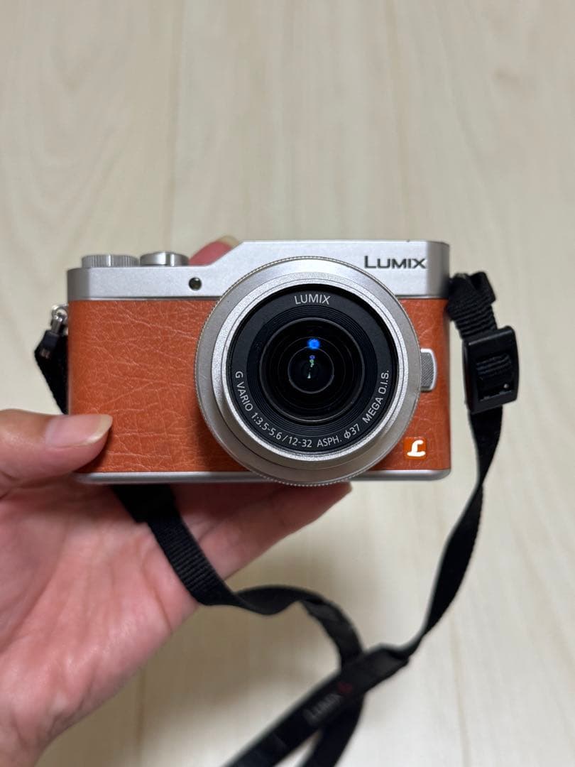 Panasonic LUMIX DC-GF9W ダブルレンズキット