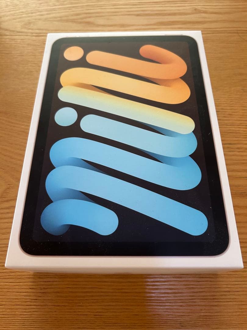 ipad mini a2567 本体 64GB バッテリー97%