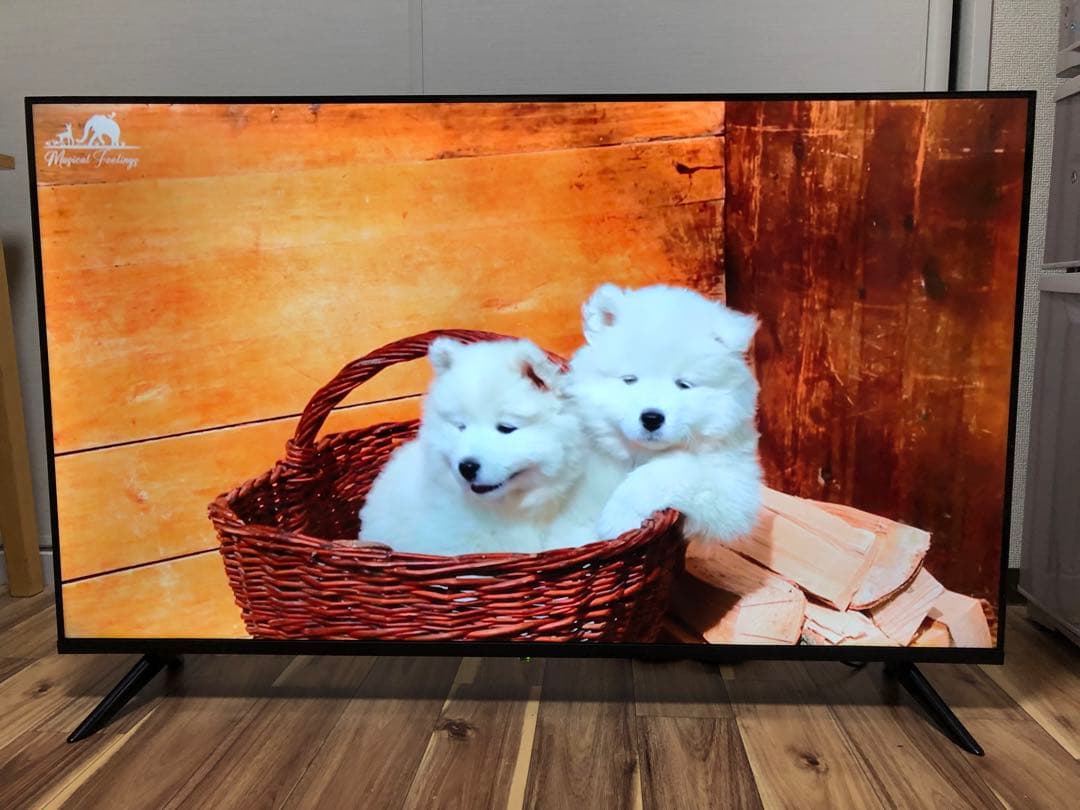 2022年製！50V型 4Kチューナーレステレビ Android TV HDR○