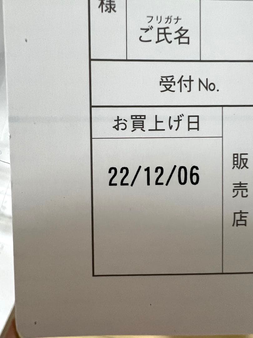 【美品】サキナ ルルシェ 美顔器 サキナエステマシン