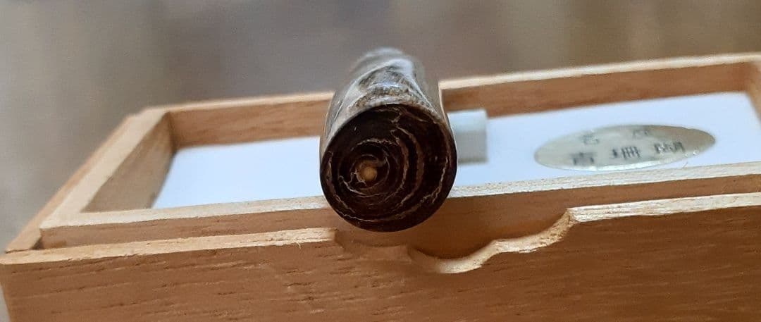 63 レア品！青珊瑚(レインボーコーラル)の印材、原木