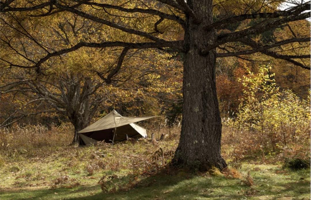 ゼインアーツ　ギギ1tc