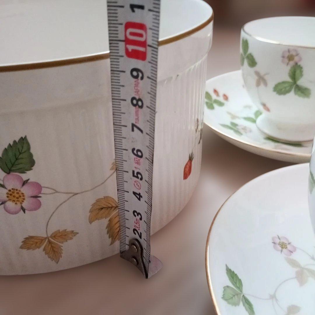  ワイルドストロベリー　セット