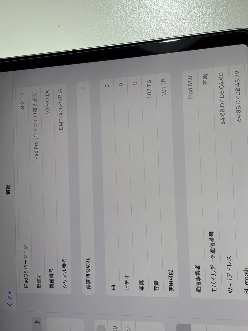 iPadPro 1TB 11インチ セルラーモデル　第2世代
