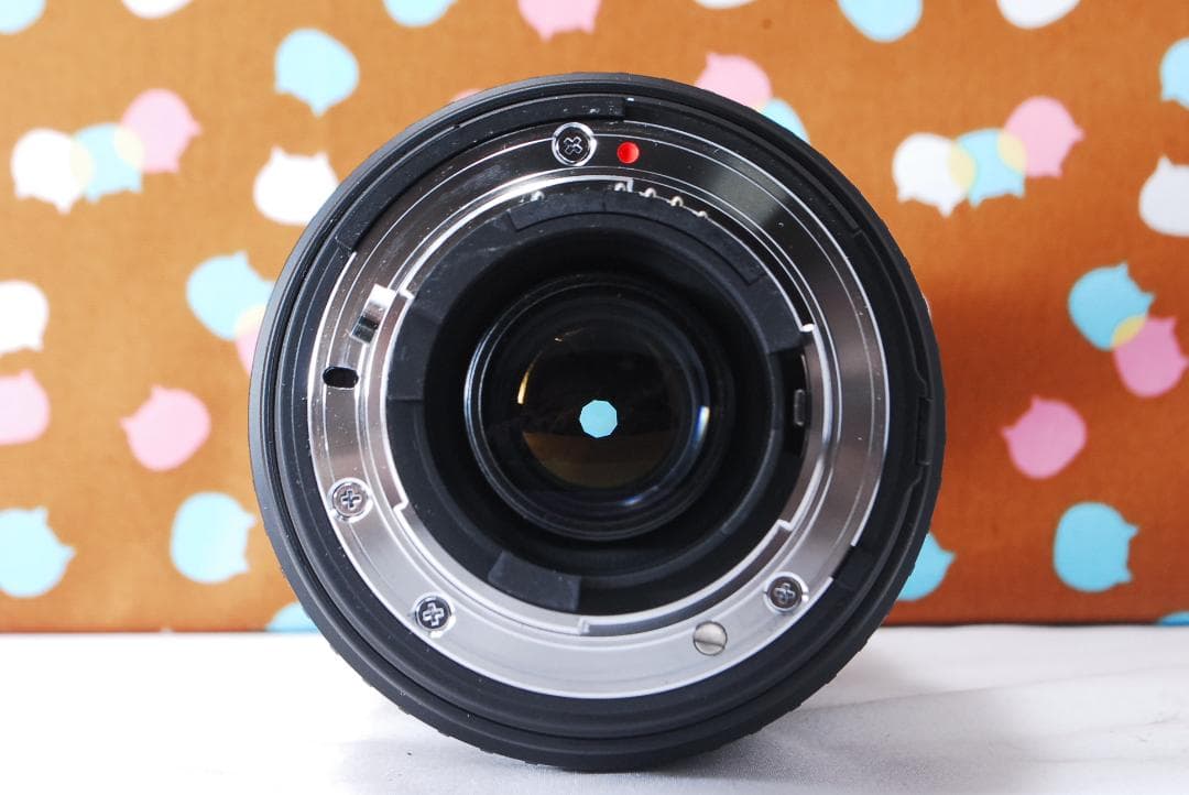 ✨望遠レンズ付き✨美品✨Nikon D200 レンズセット