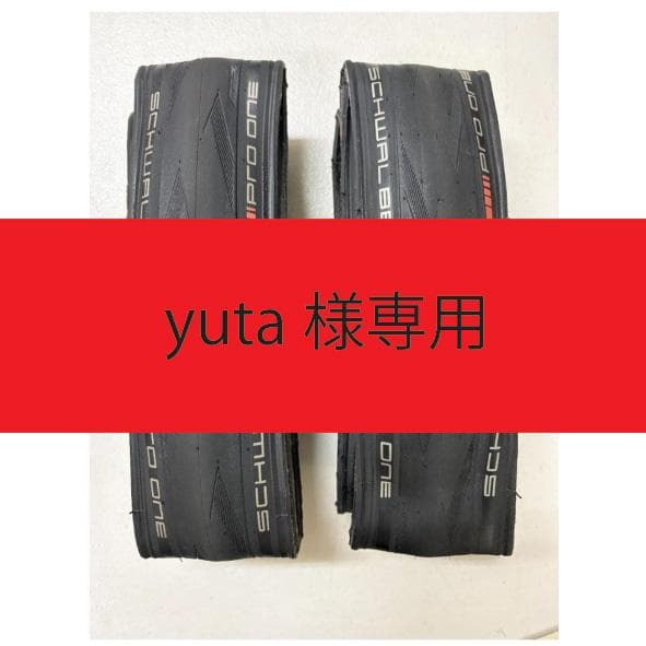 SCHWALBE PRO ONE TLE ADDIX Race 28c 2本
