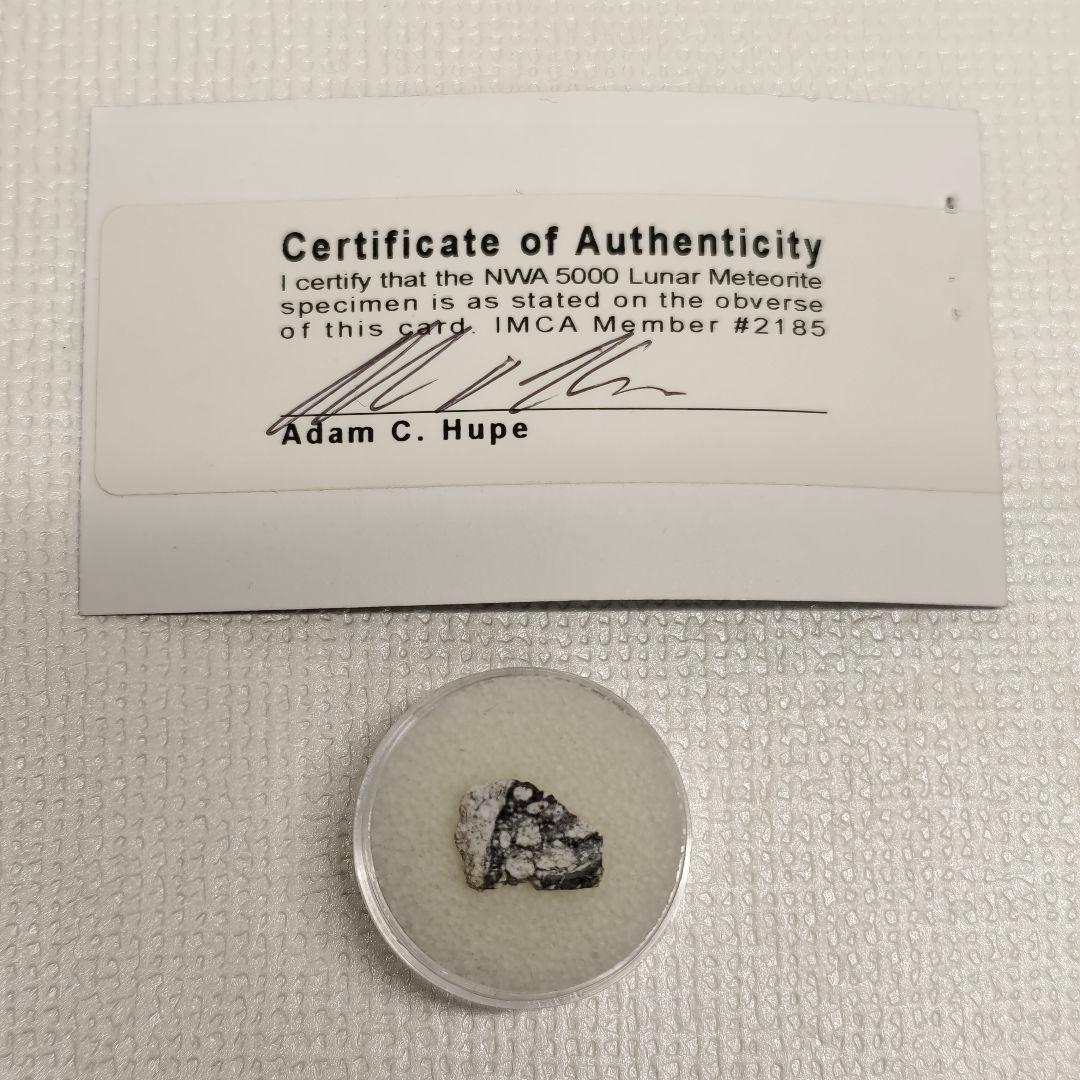 月隕石 NWA5000 320mg アダムホープ氏サインカード付き NO.399