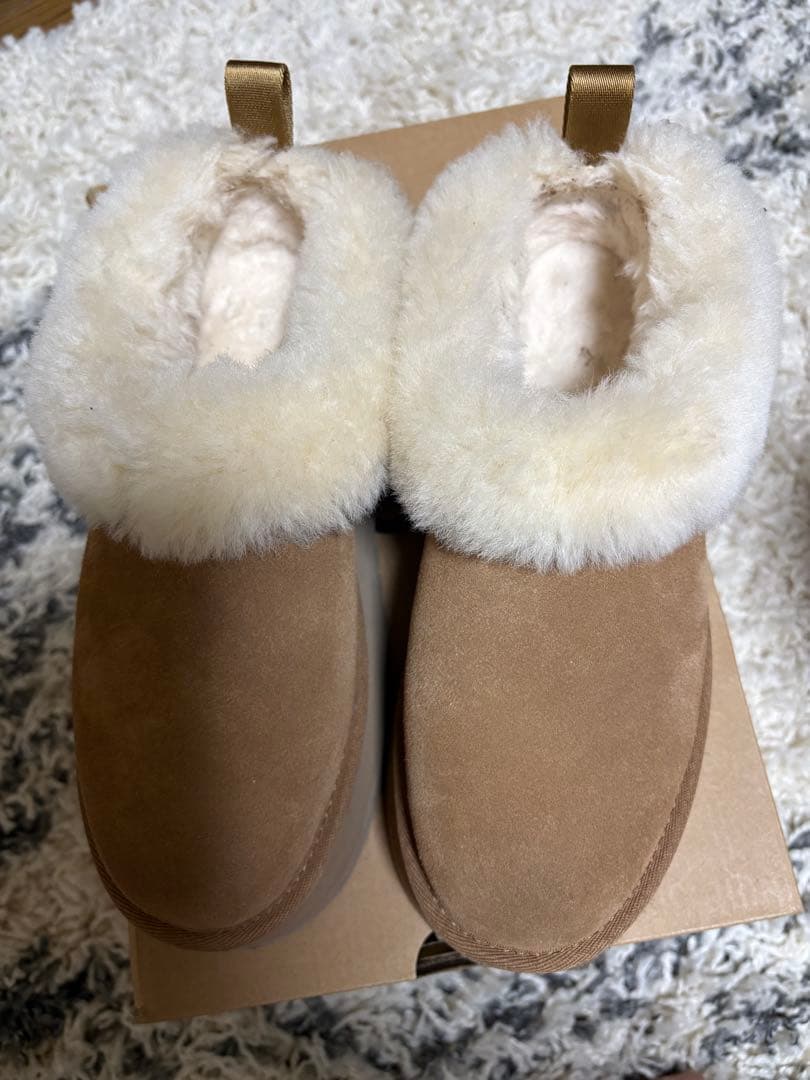 限定価格ugg☆正規品タゼル / Tazzelleチェスナット7美品