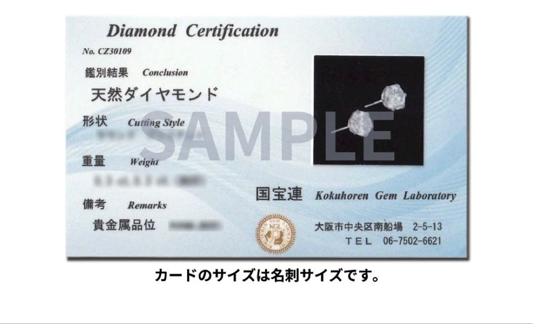 PT天然ブラックダイヤ 片耳ピアス 1.0ct 鑑別カード付き