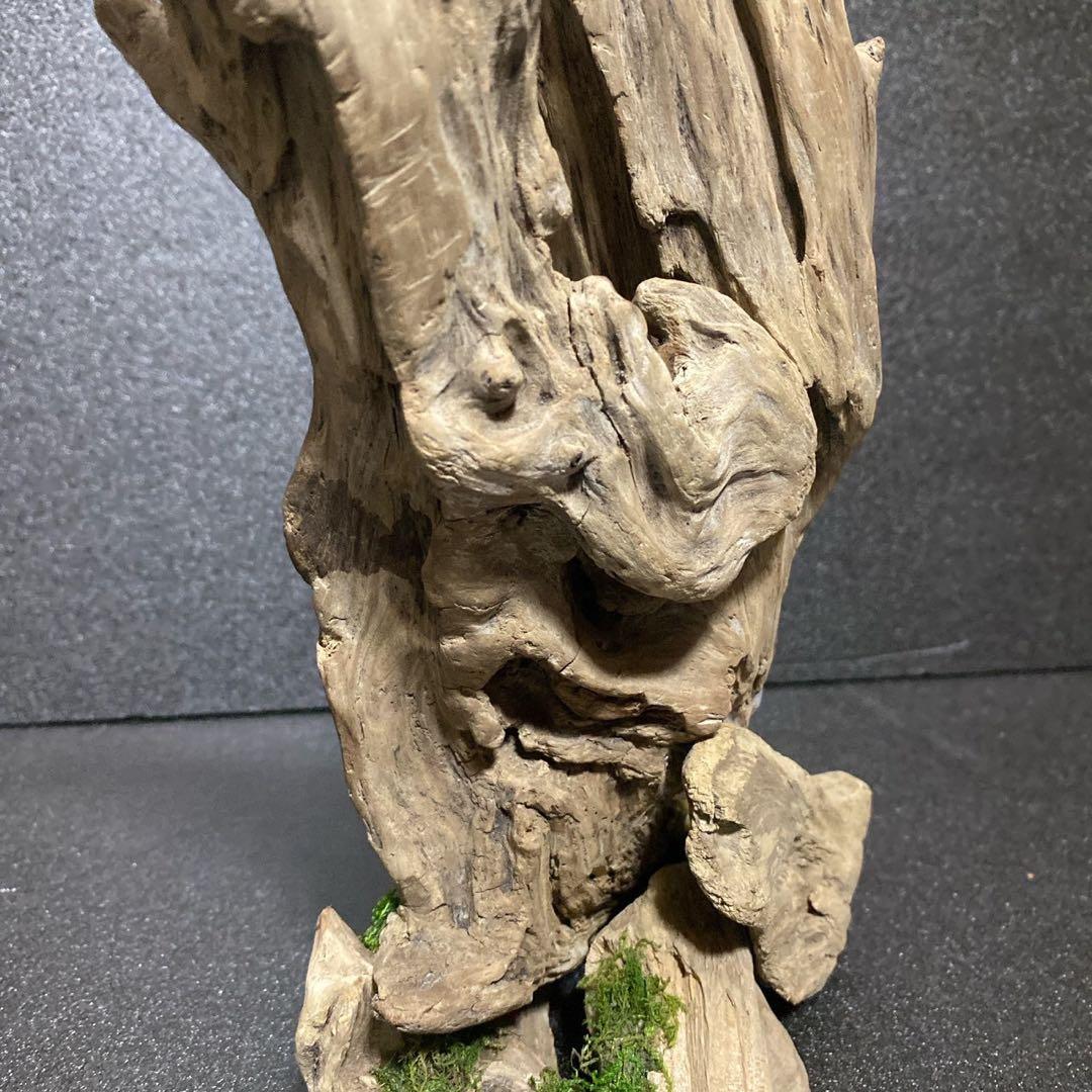 流木アート 一点もの インテリア アクアリウム