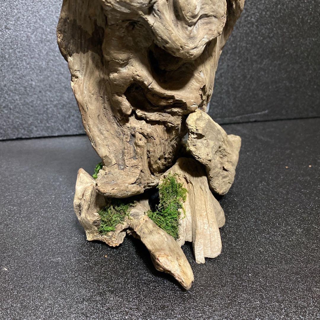 流木アート 一点もの インテリア アクアリウム