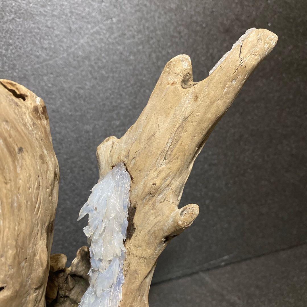 流木アート 一点もの インテリア アクアリウム