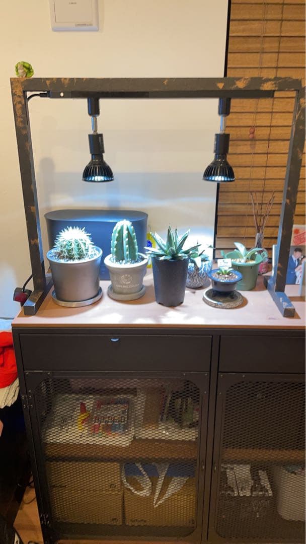 植物育成LEDライト アマテラス 10wの2個セット　おまけタイマー　ソケット