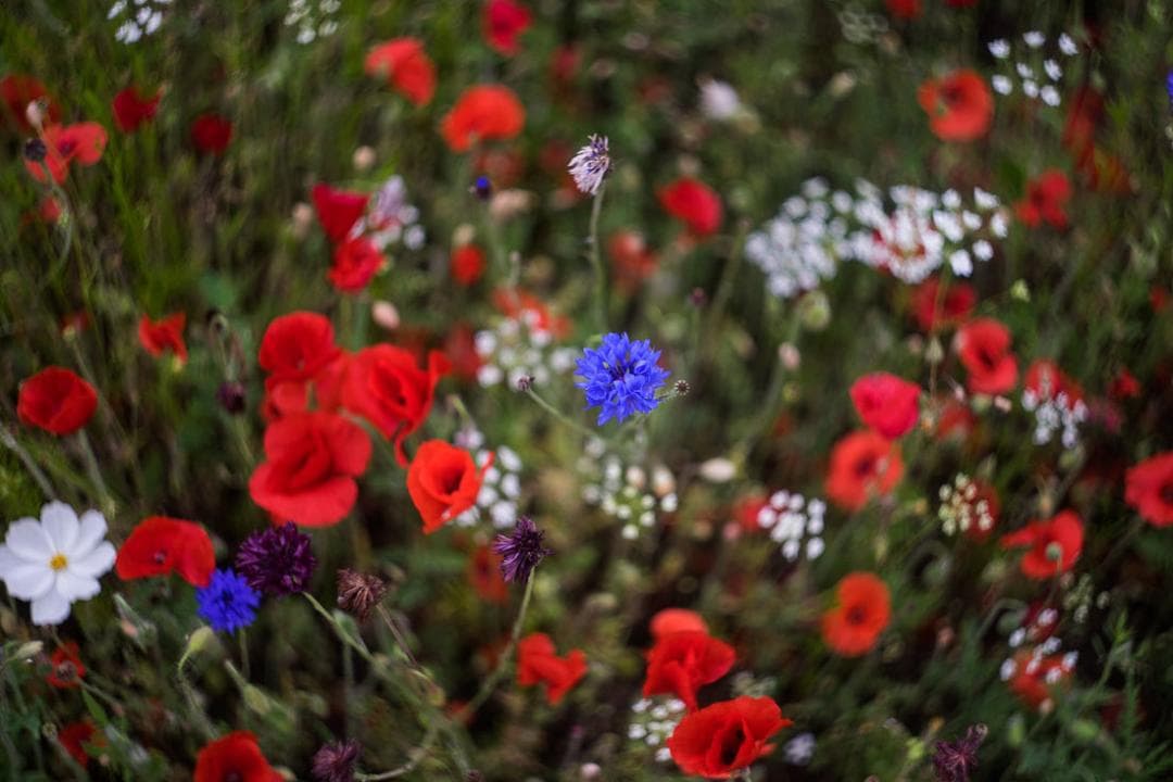 18　未使用　デッドストック希少後期型　ヘリオス　44-2ぐるぐるボケレンズ