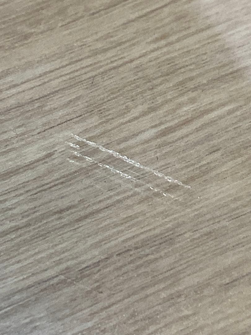 Glasia　水上育成用　６０×３０×１０ｃｍ　６０ｃｍ水槽　単体　沖縄別途送料