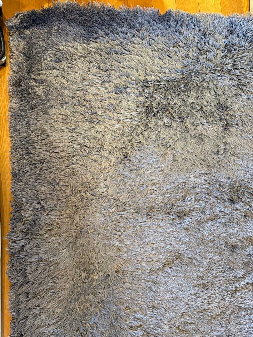 ACTUS アクタス ラグ 1700 × 2400