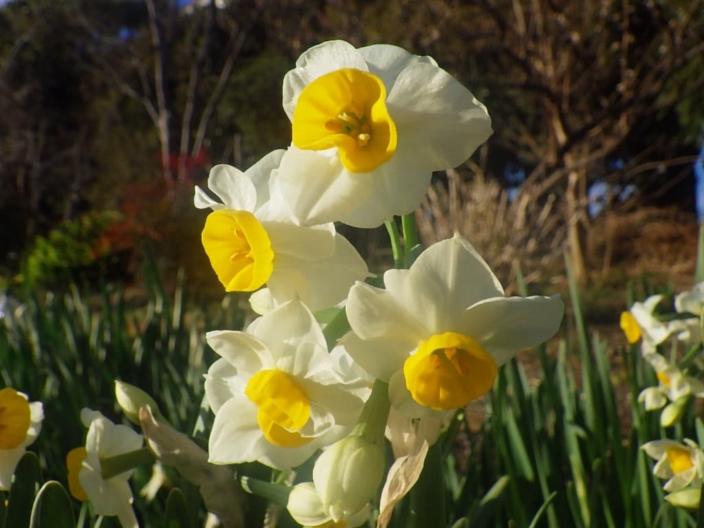 実写美⭕️【動作確認済】RICOH WG-40 デジタルカメラ