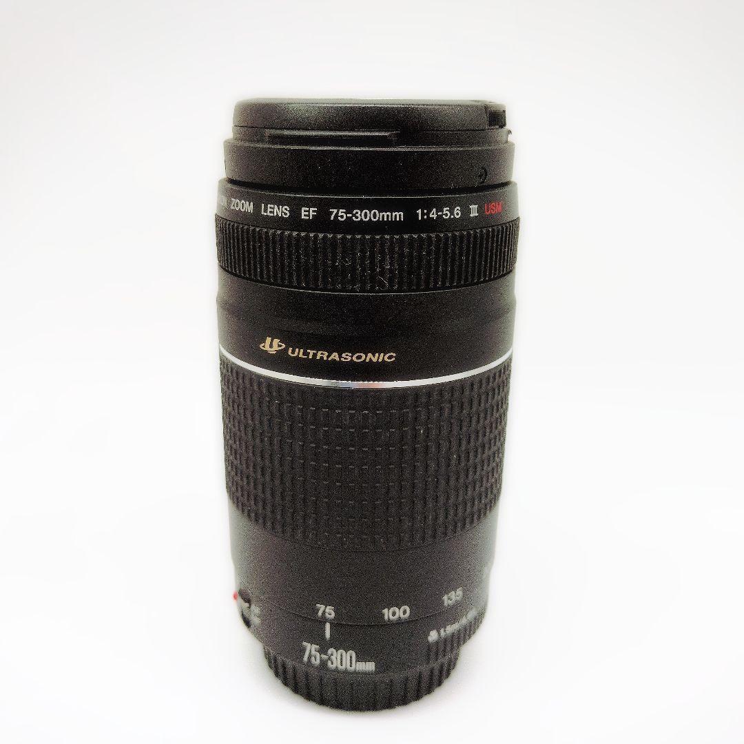 Canon EF 75-300mm F4-5.6 III USM 望遠ズーム