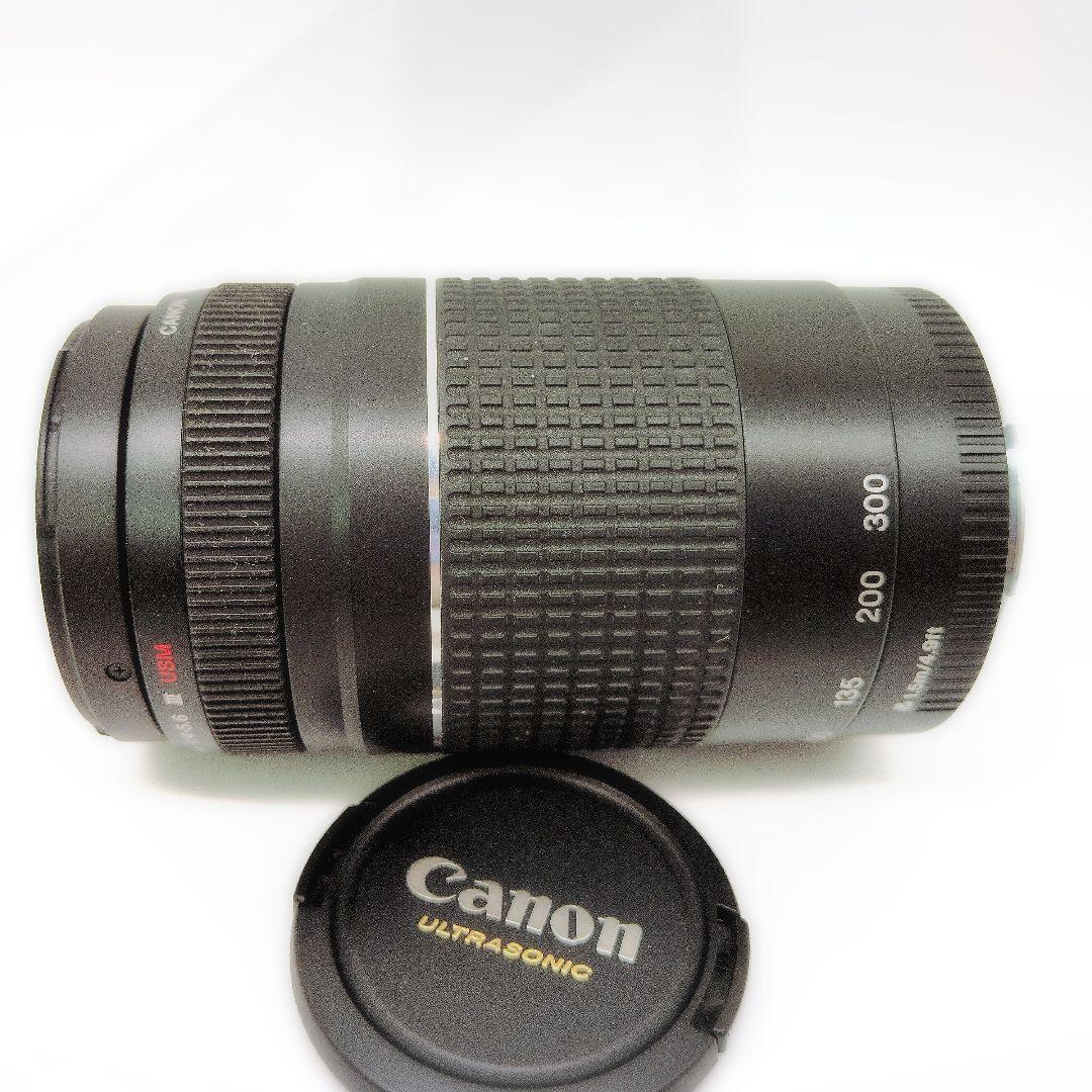 Canon EF 75-300mm F4-5.6 III USM 望遠ズーム