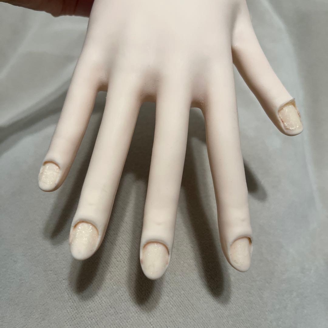 JNEC認定モデルハンド チップ・シール付き