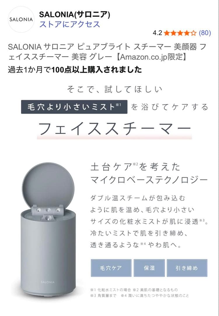 SALONIA PURE BRIGHT STEAMER グレー