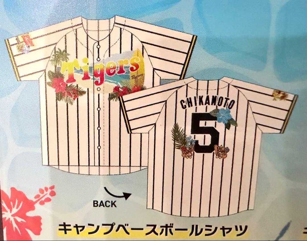 森下　阪神タイガース　春季キャンプ2026
