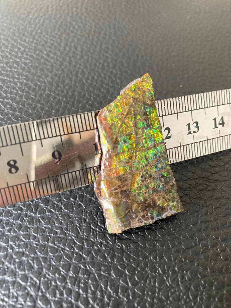 アンモライト　両面　化石　天然石 ルース