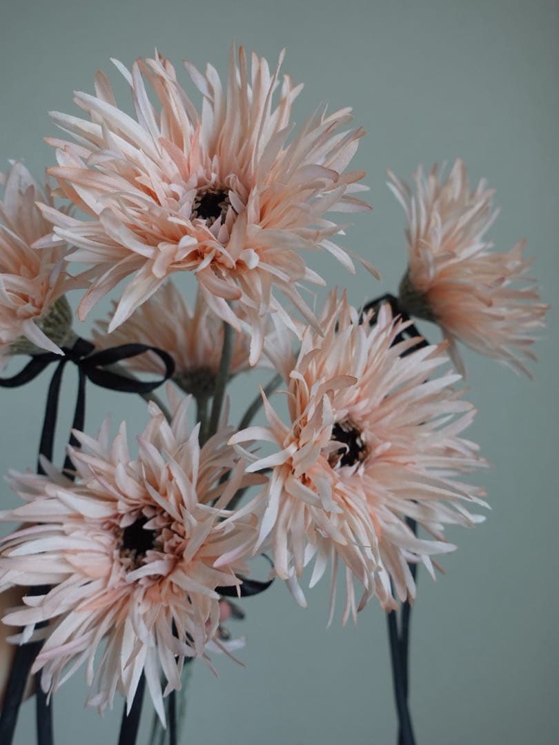 【大人かわいい】ベージュガーベラのブーケ　ブーケ　前撮り　フォトウェディング