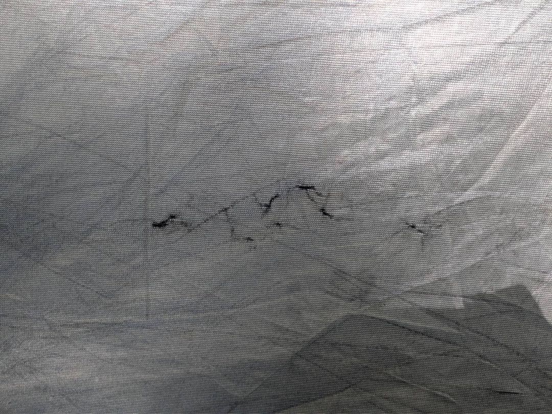 コールマン　ツーリングドーム　ST ごま 様