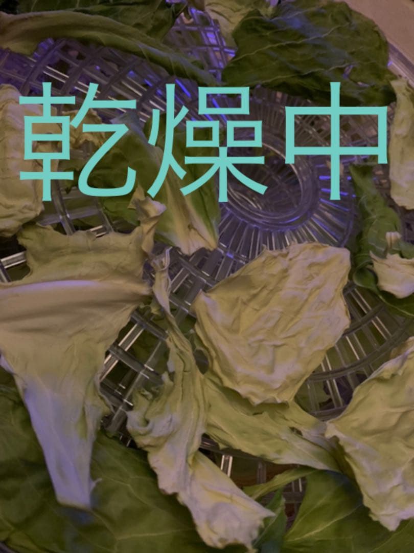 小動物用の乾燥おやつ　お好きな野菜果物でお作りします