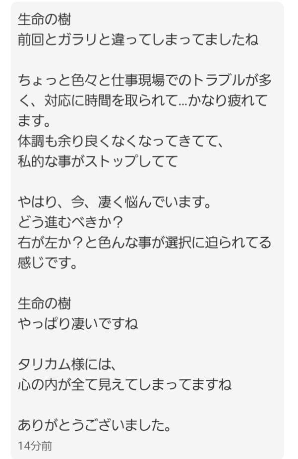 【ポール様ご予約品】ファウスト召喚魔術書 これまでに発見され得る最も強力な図形版