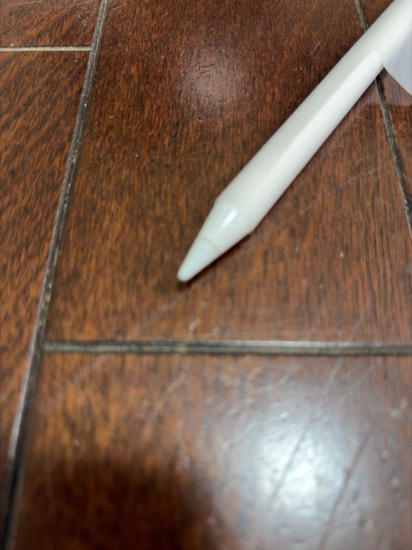 Apple Pencil 第1世代 交換品★USB-C変換器＆予備キャップ付